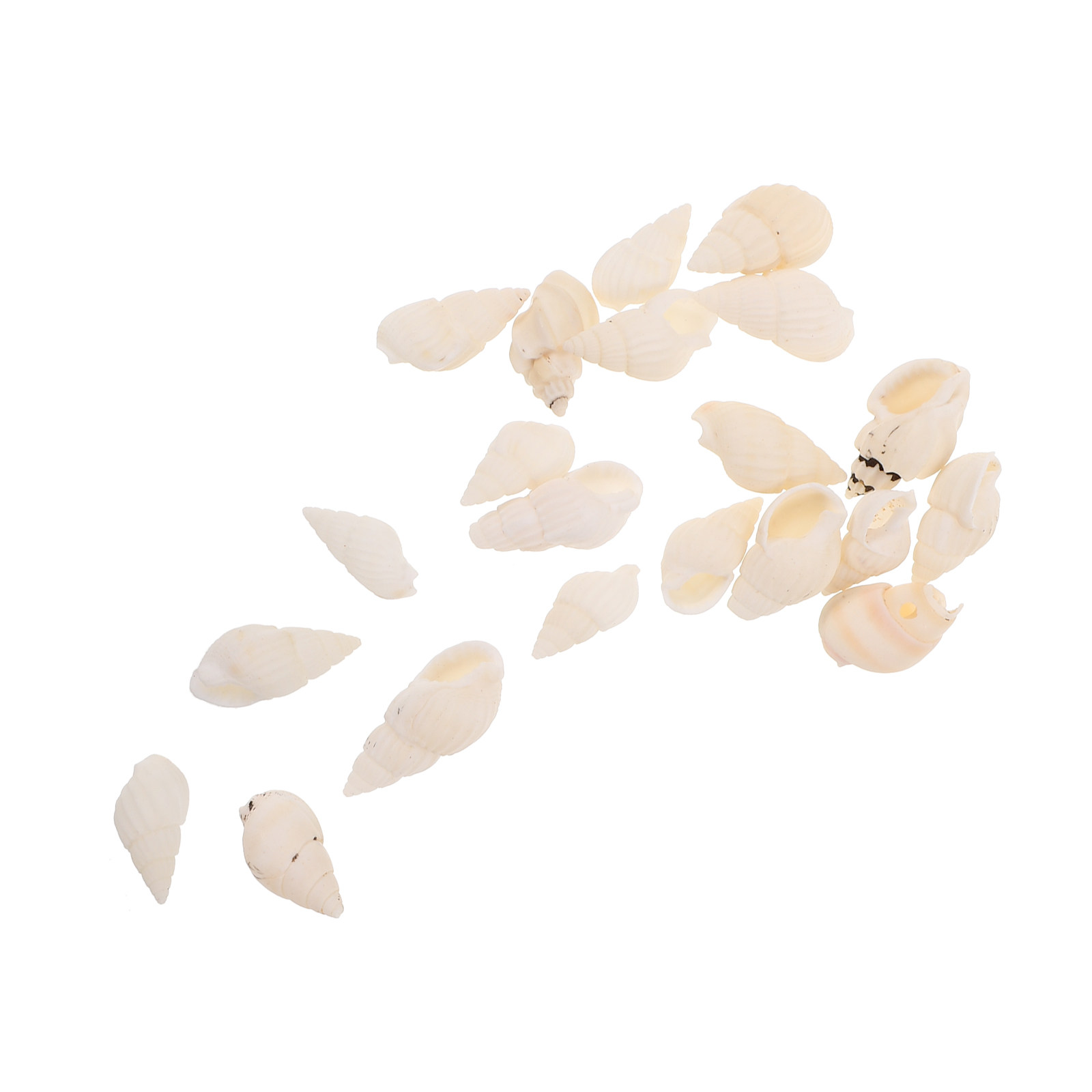 20 Peças de Conchas Brancas em - Resin Art Beach Theme avaliação e preço