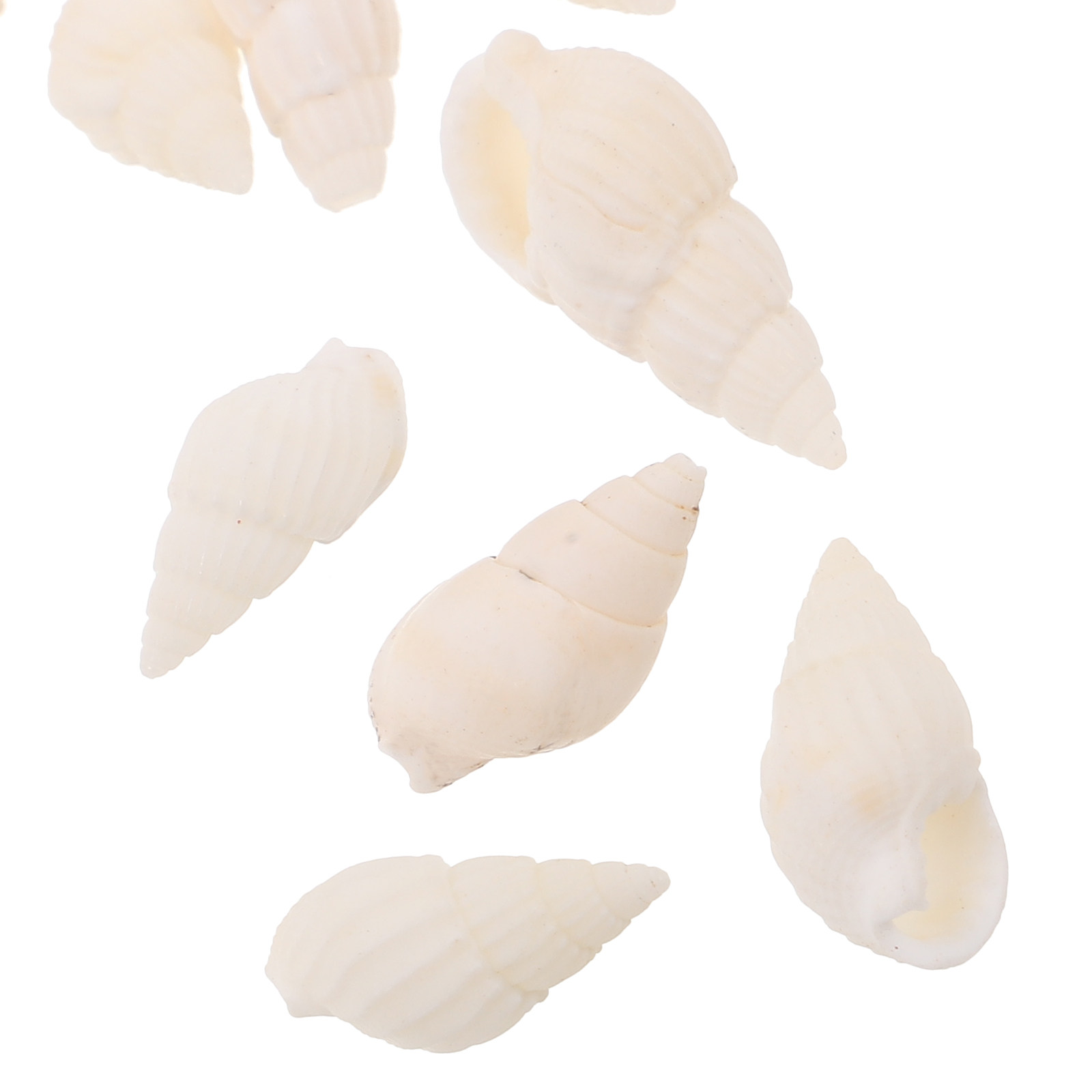 20 Peças de Conchas Brancas em - Resin Art Beach Theme avaliação e preço