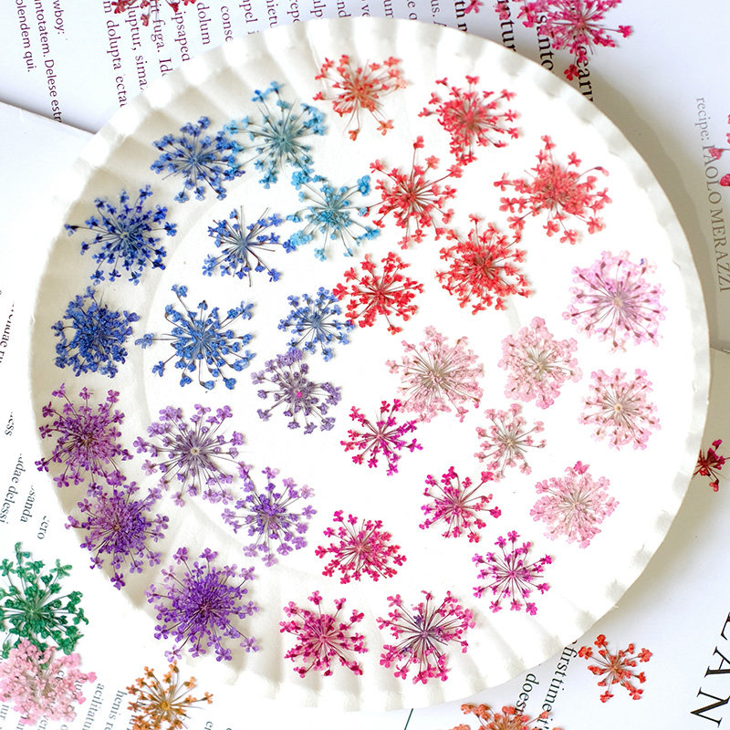 24 peças, 2-2,5cm, Pétalas de  - Resin Art For Photo Frame avaliação e preço