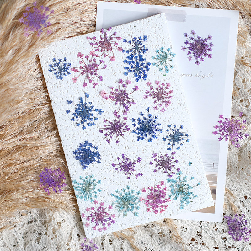 24 peças, 2-2,5cm, Pétalas de  - Resin Art For Photo Frame avaliação e preço