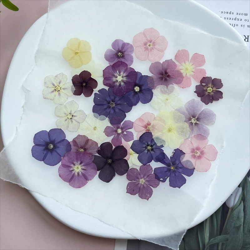 12 peças, nicho semi-transpare - Resin Art For Photo Frame avaliação e preço