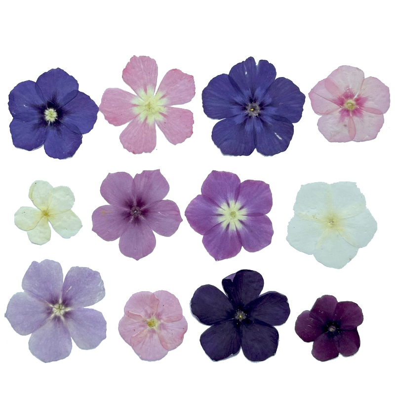 12 peças, nicho semi-transpare - Resin Art For Photo Frame avaliação e preço